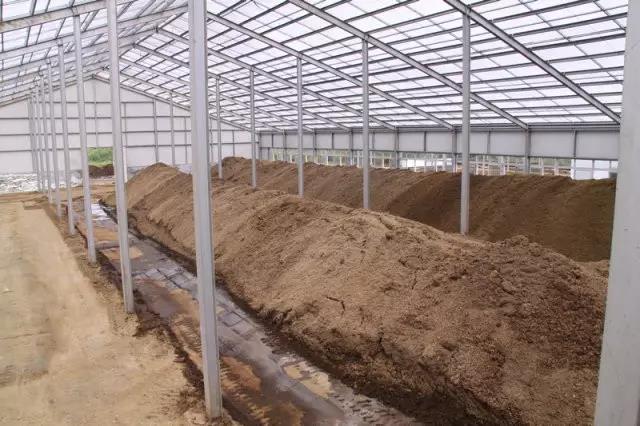 СЙCa(chn)O(sh)һҪX?