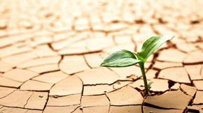 通達重工有機肥設備解決土壤問題