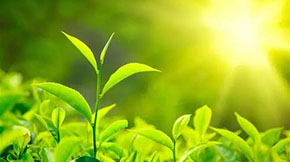 ɽ|P(gun)MЙCЄӵ֪ͨ