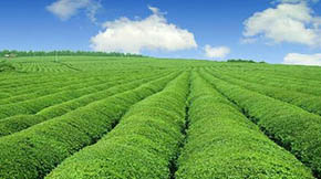 r(nng)I(y)Gɫl(f)չԇcoץնCõI(lng)l(f)չ