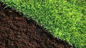 ӱB(yng)ֳȾݼSȥă