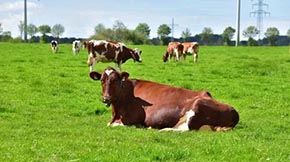 Bdмӿ쌍F(xin)ݼS۾C