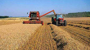 2021ʡr(nng)CُaN18|Ԫ