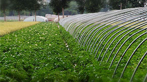 Ϣ2021ЙCaʩaNҪ5Ϣ