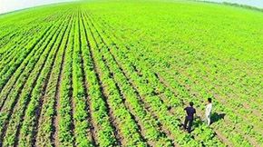 財政部 農(nóng)業(yè)農(nóng)村部發(fā)布2021年重點(diǎn)強(qiáng)農(nóng)惠農(nóng)政策