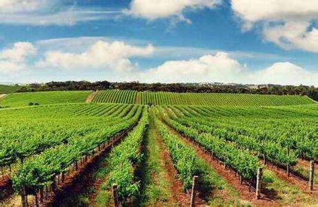 如何科學、安全施用有機肥料