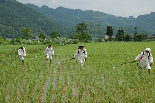 畜禽糞污綜合利用率達92%