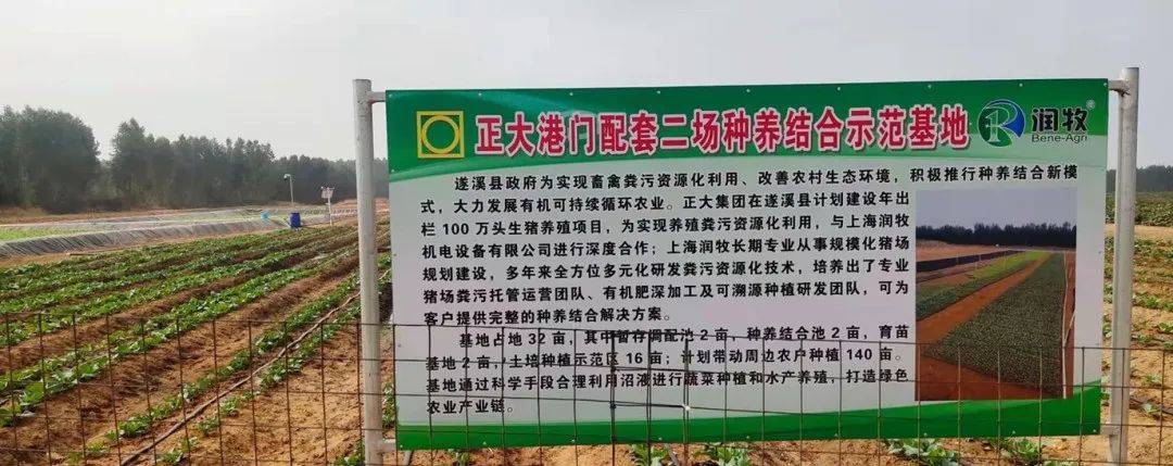 淺談種養結合養豬發展模式