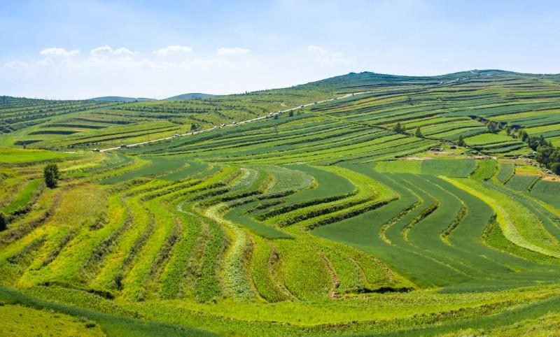 有機肥生產線,助力綠色農業發展