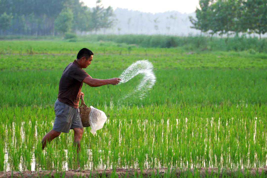 中華全國供銷合作總社:全力以赴做好秋冬種農資供應和化肥冬儲工作