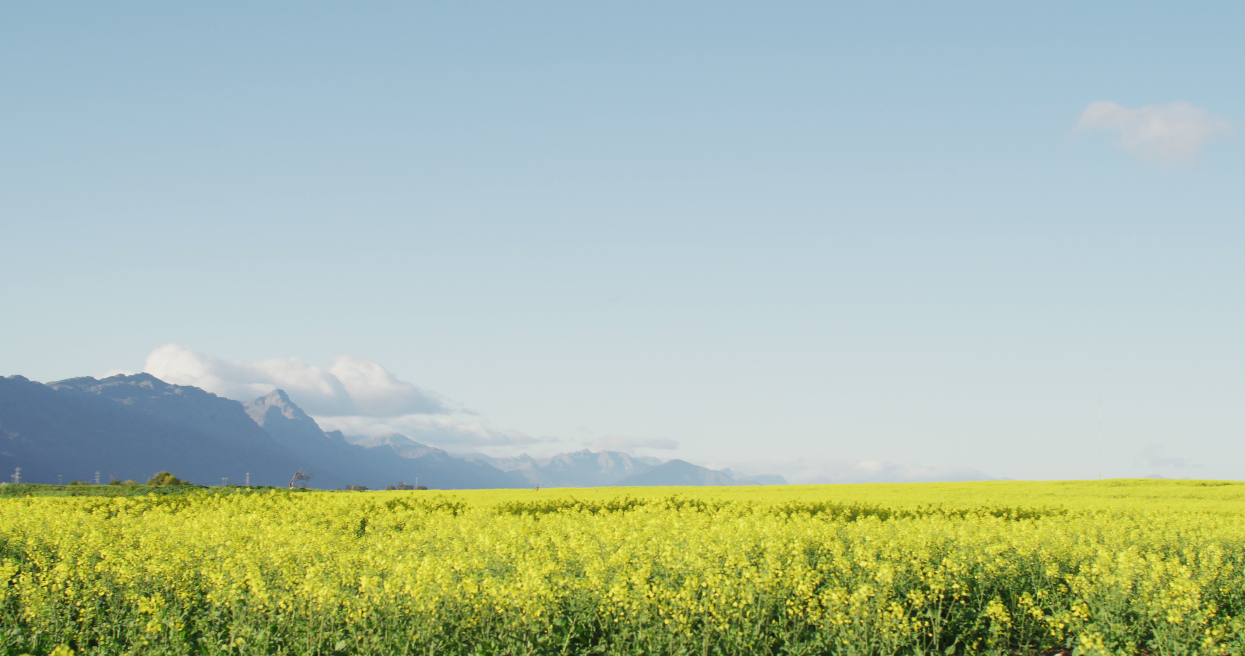 生物有機肥發展現狀面面觀