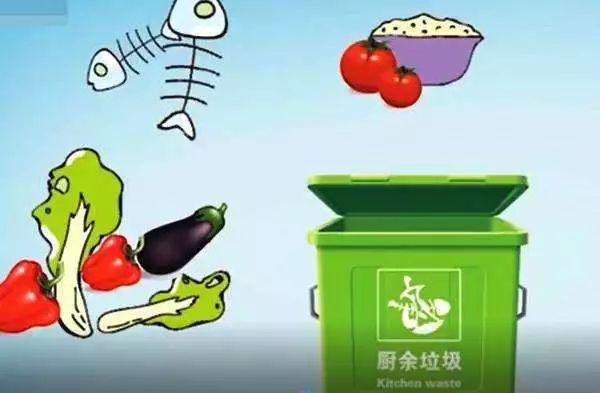 餐廚垃圾變廢為寶,實施案例