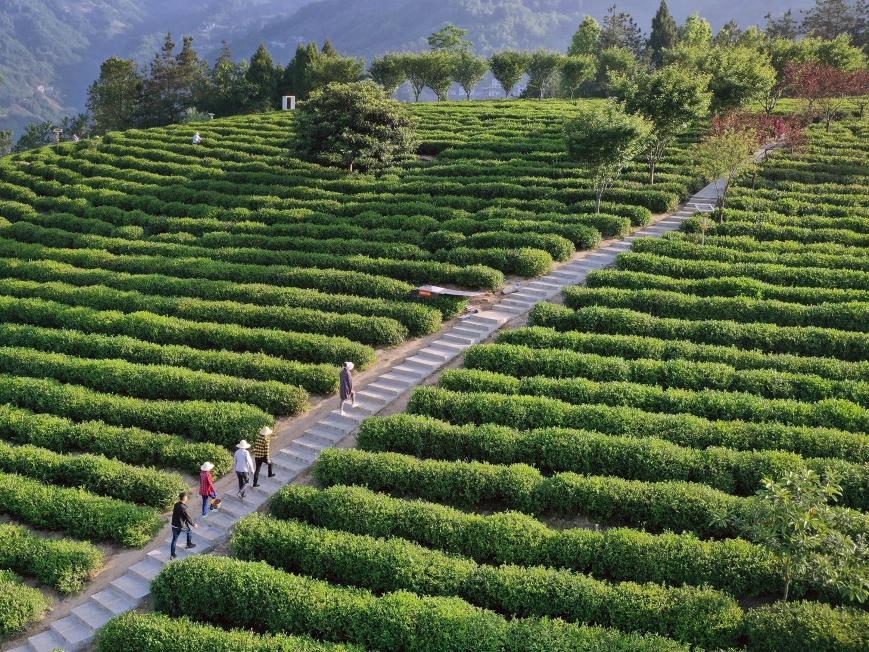 高水平保護推動高質量發展 湖北守牢鄉村振興的生態底線