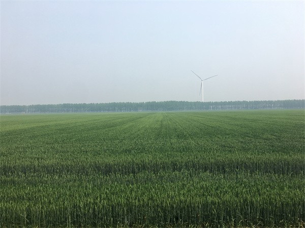 農(nóng)業(yè)農(nóng)村部:關(guān)于持續(xù)推進(jìn)畜禽糞污資源化利用更高水平保障糧食安全的建議答復(fù)