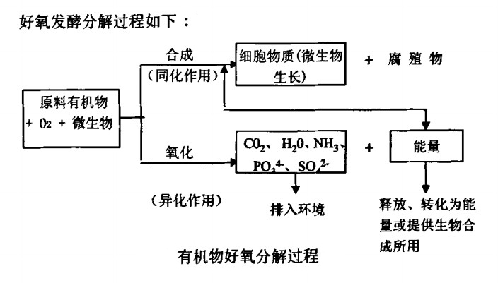 好氧發酵的過程.jpg