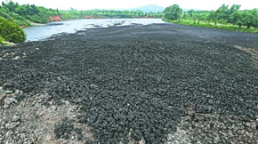 有機肥原料分析之污泥