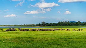 iSţSlЙCʑעĎׂС