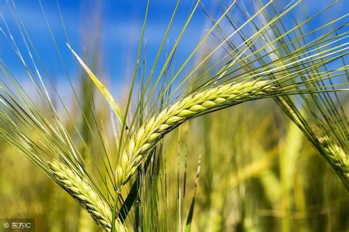 有機(jī)肥設(shè)備-輪式翻堆機(jī)操作要求