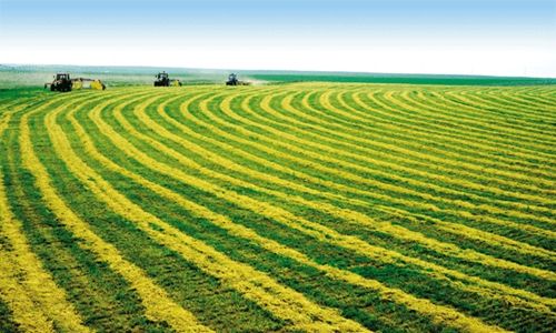 生產(chǎn)摻混肥需要哪些生產(chǎn)設(shè)備?