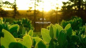 畜禽糞便無害化處理有機肥設(shè)備工藝步驟