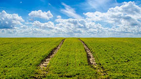 打造生態(tài)招牌 發(fā)展綠色農(nóng)業(yè)