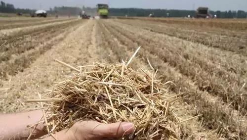 踐行綠色發(fā)展理念 推進秸稈資源化利用