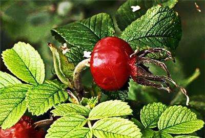 Ҍ(du)ЙC(j)a(chn)֧߅R