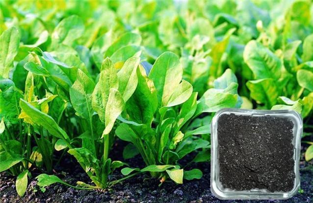 ЙCʰl(f)ͼg(sh)Щ(yu)c?