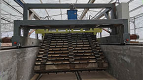 xЙCʰlO䷭CSҕrҪעc