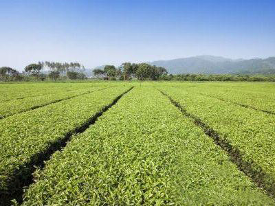 kһС͵ЙCʼӹSҪЩmͶYX