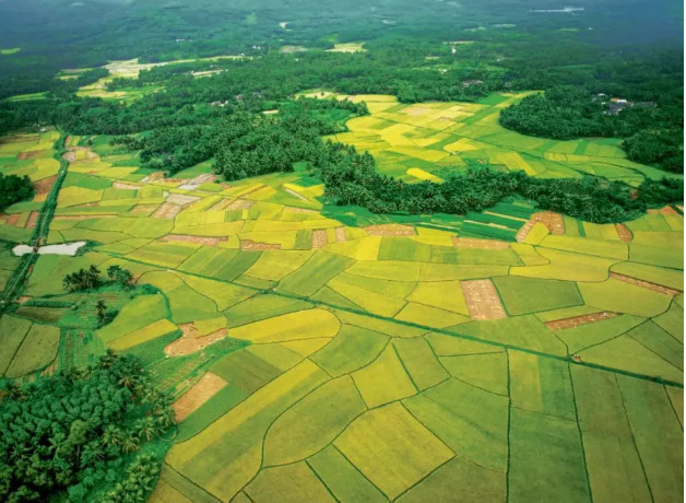 r(nng)Uwﻯ ۼS׃da(chn)I(y)