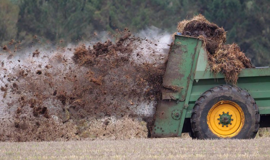 土壤有機質的功能和作用