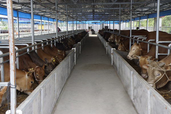 B(yng)ţţS̎ЙC(j)ʣ