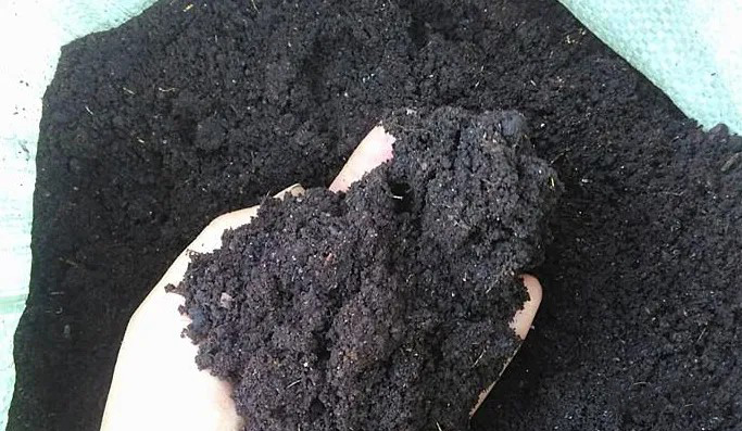 如何看某地區(qū)是否存在有機肥料應用市場