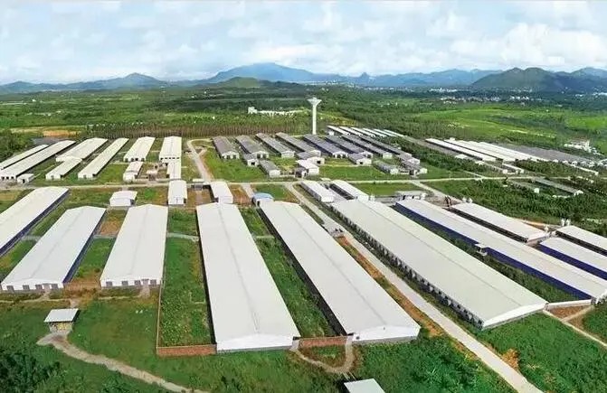 如何快速判斷有機肥質(zhì)量的好壞?