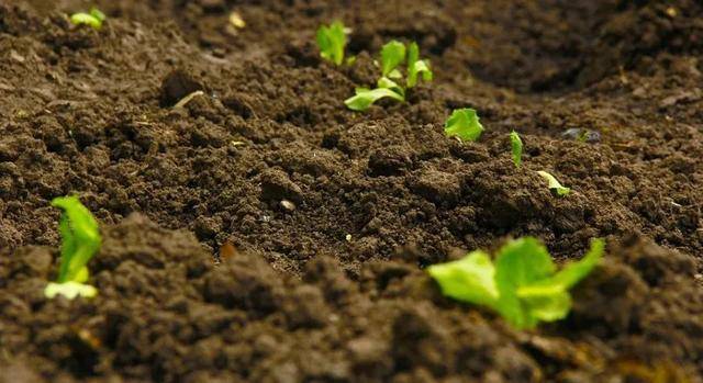 我國肥料分類及執行標準大全