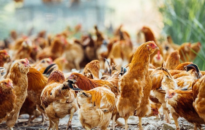 һNB(yng)ֳU̎ʽm㣿